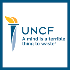 UNCF A mind is a terrible thing to waste